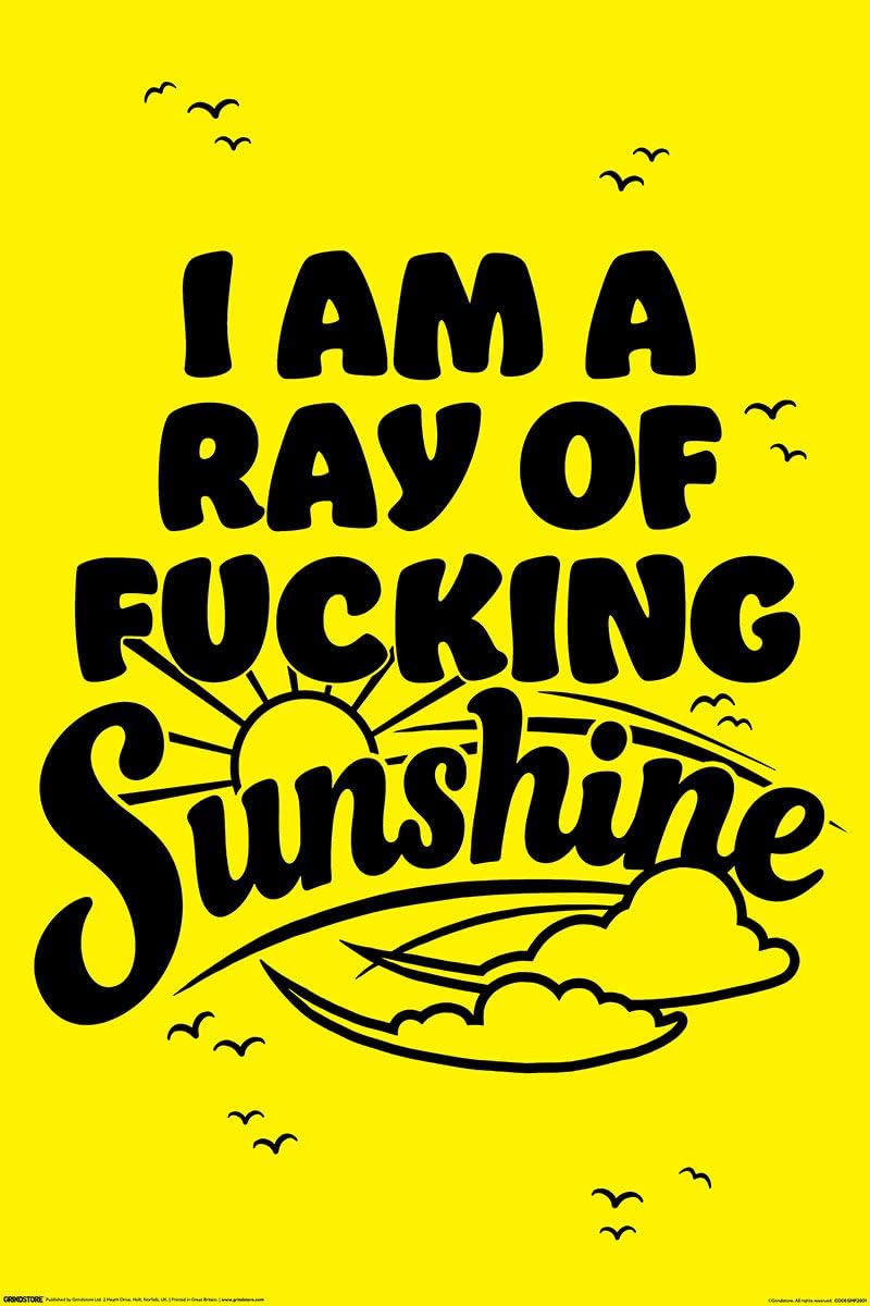 Grindstore Multicolour I Am A Ray Of Fucking Sunshine Maxi Poster