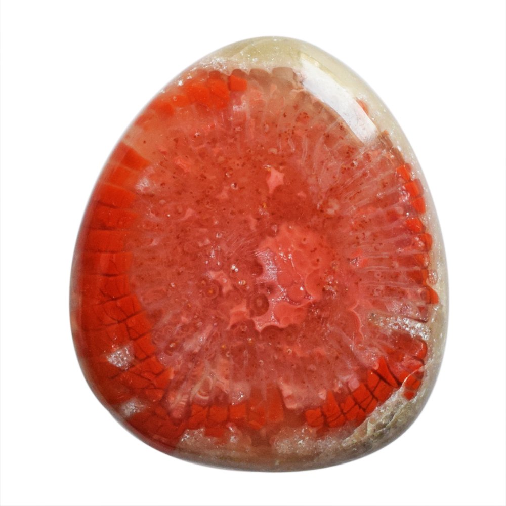 ABC Jewelry Mart Genuine Red Horn Coral Cabochon, Jewellery Making Gemstone, Size 26x23x5 MM, Pendan