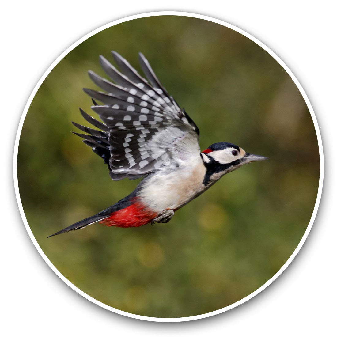 2 x 30cmVinyl Stickers - Great Spotted Woodpecker Decals for Car Van Luggage Scrap Book Fridge #3325
