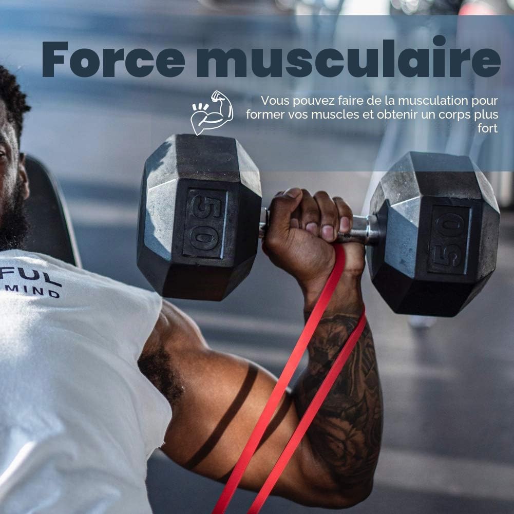 Bandes de résistance en latex naturel comme résistance et soutien pour aide à la traction avec guide d'exercice, musculation et renforcement musculaire