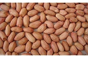 Jumbo Virginia Peanut Seeds - 50 Untreated Organic, Non-GMO Peanut Plant Seeds