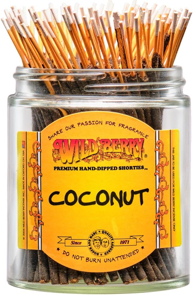 Wild Berry Shorties Incense Sticks - Hand Dipped in The USA (100 Count) - 4 inch (Fizzy Pop)