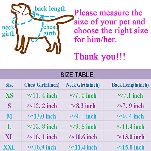 Casual Elegant Cat Dog Pet Sweater Turtleneck Knitted Knitwear Outerwear With Collar For Dogs & Cats Pets (Xs, Blue) #TOP4