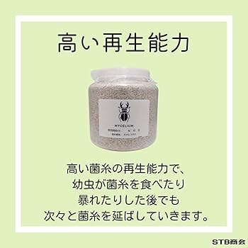 超特大2300ml【3本】ヒマラヤひらたけ菌糸瓶☆90ミリ以上の大型クワガタ専用 Amazon | 【2個セット】MYCELIUM 菌糸ビン2300cc オオヒラタケ菌
