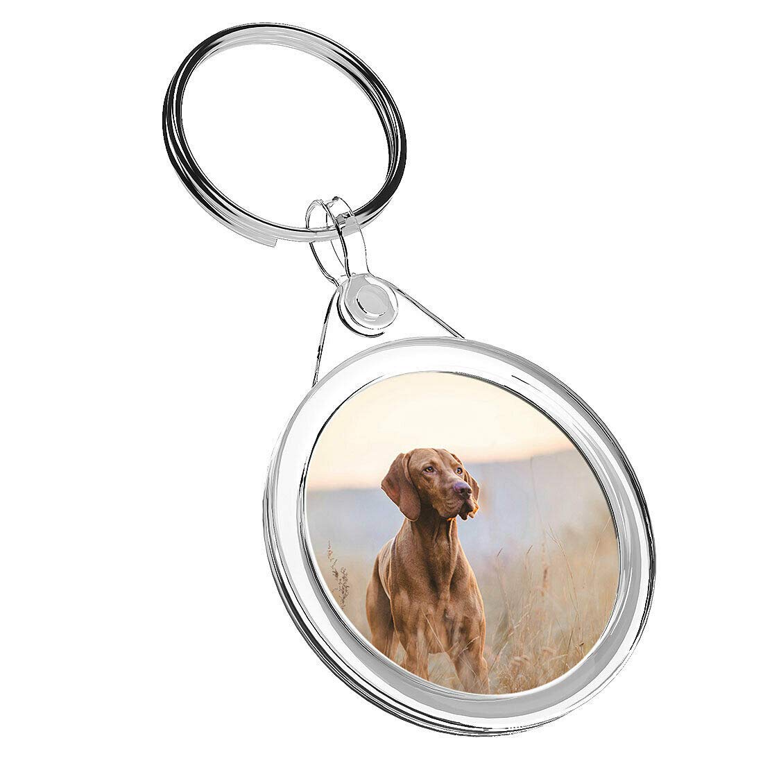 Destination Vinyl Keyrings Unisex Kids Multi 1 X Hungarian Pointer Vizsla Dog - Keyring Ir02 Mum Dad Kid Birthday #12566