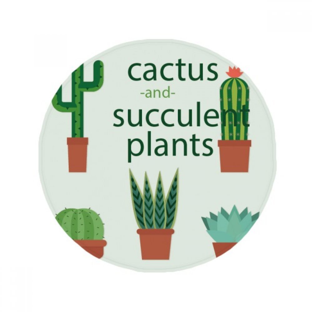 Tapis de sol anti-dérapant cactus résolvant les glissades en salle de bain