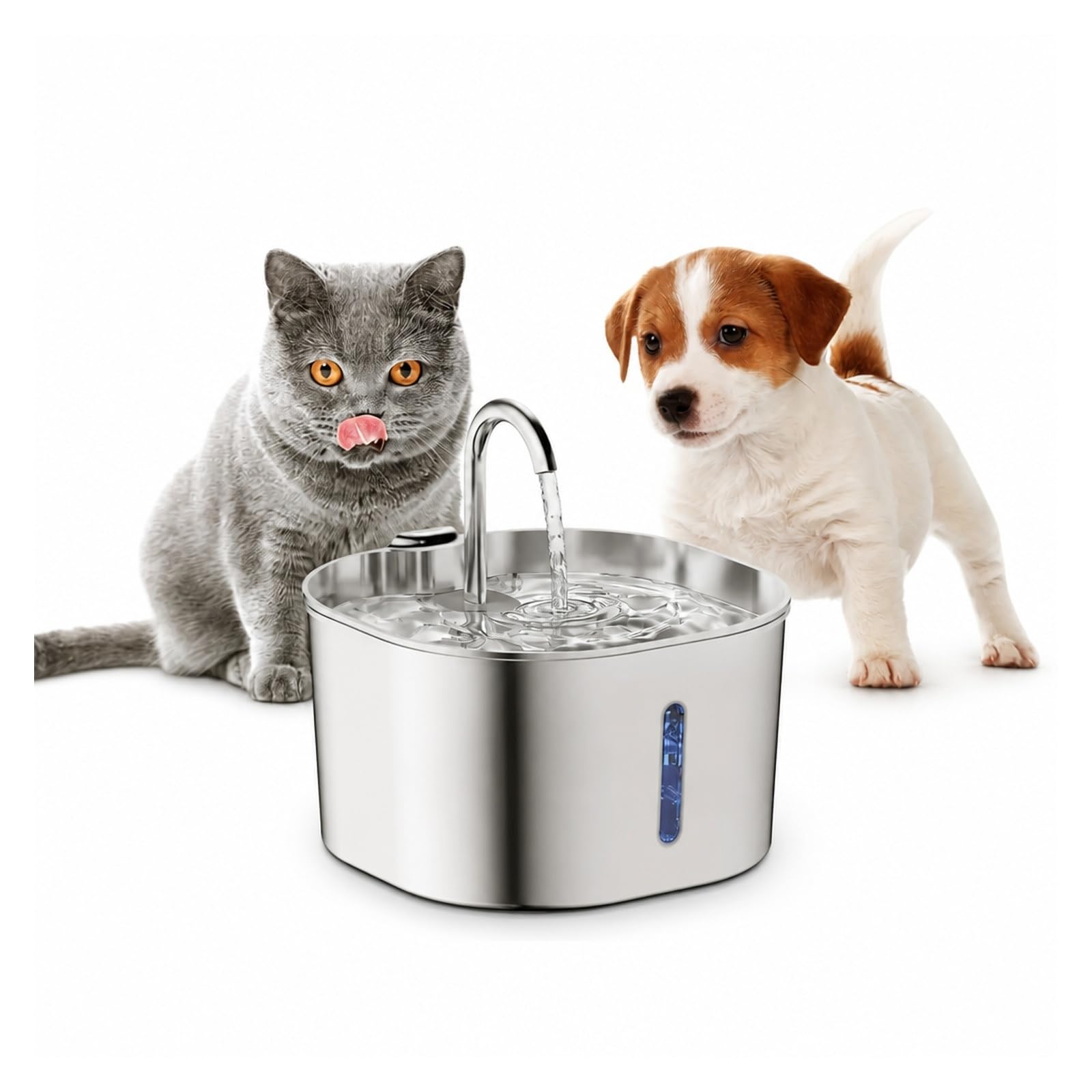 Fuente De Agua para Gatos Acero Inoxidable 2,2 L | Diseño Ventana, Plataforma Elevada Beber Hogares Con Varias Mascotas