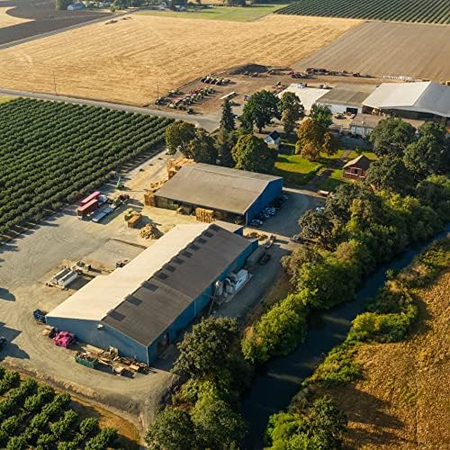 Miniatura 8 de Blue Mountain Hay  Heno fresco de hierba Teff (15 onzas)  Bajo NSC, alto contenido de fibra, control de peso saludable  Alimento para mascotas de