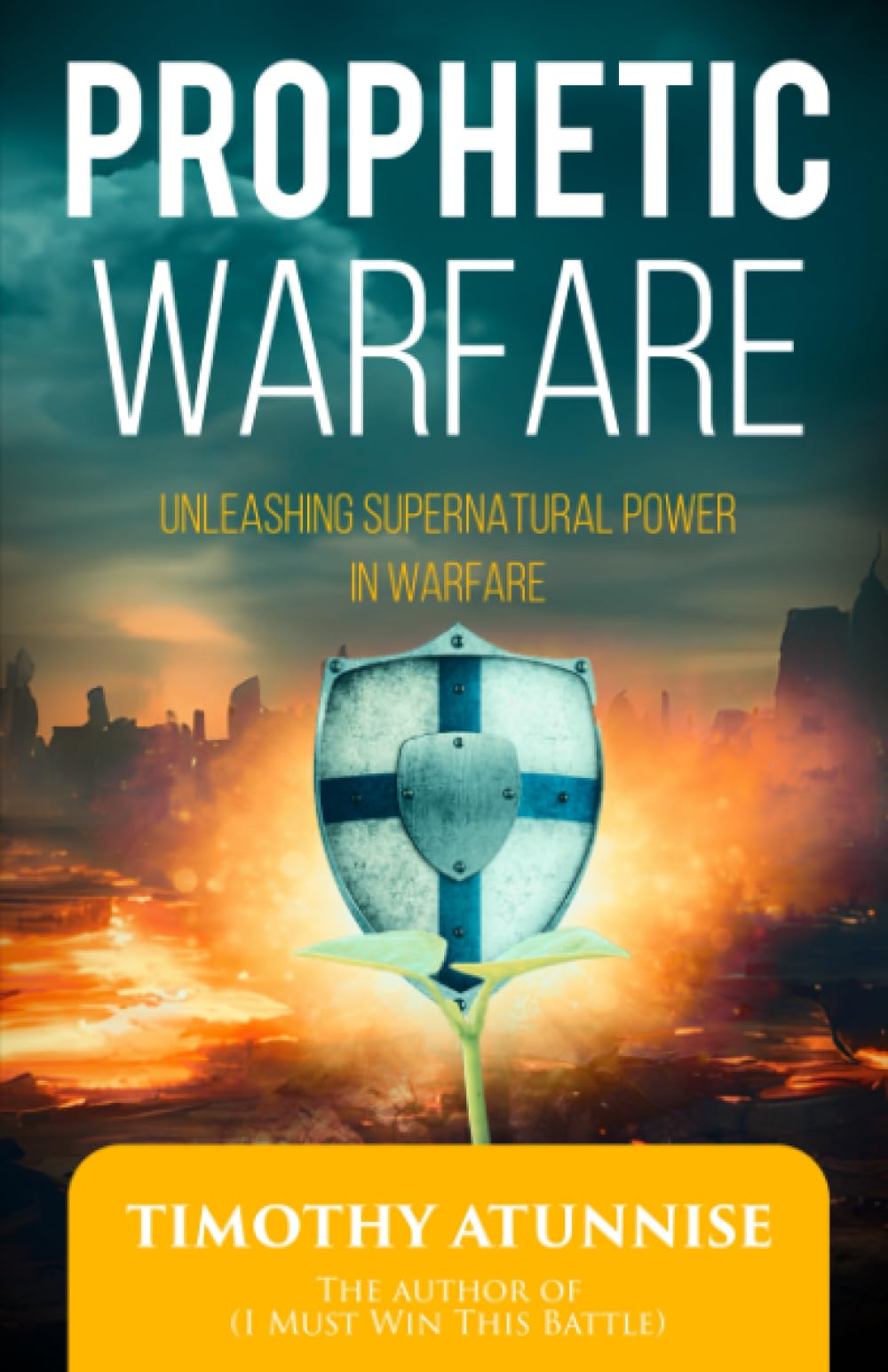 Prophetic Warfare: Unleashing Supernatural Power in Warfare: 8 (Become Anointed & Effective Prayer Warrior)