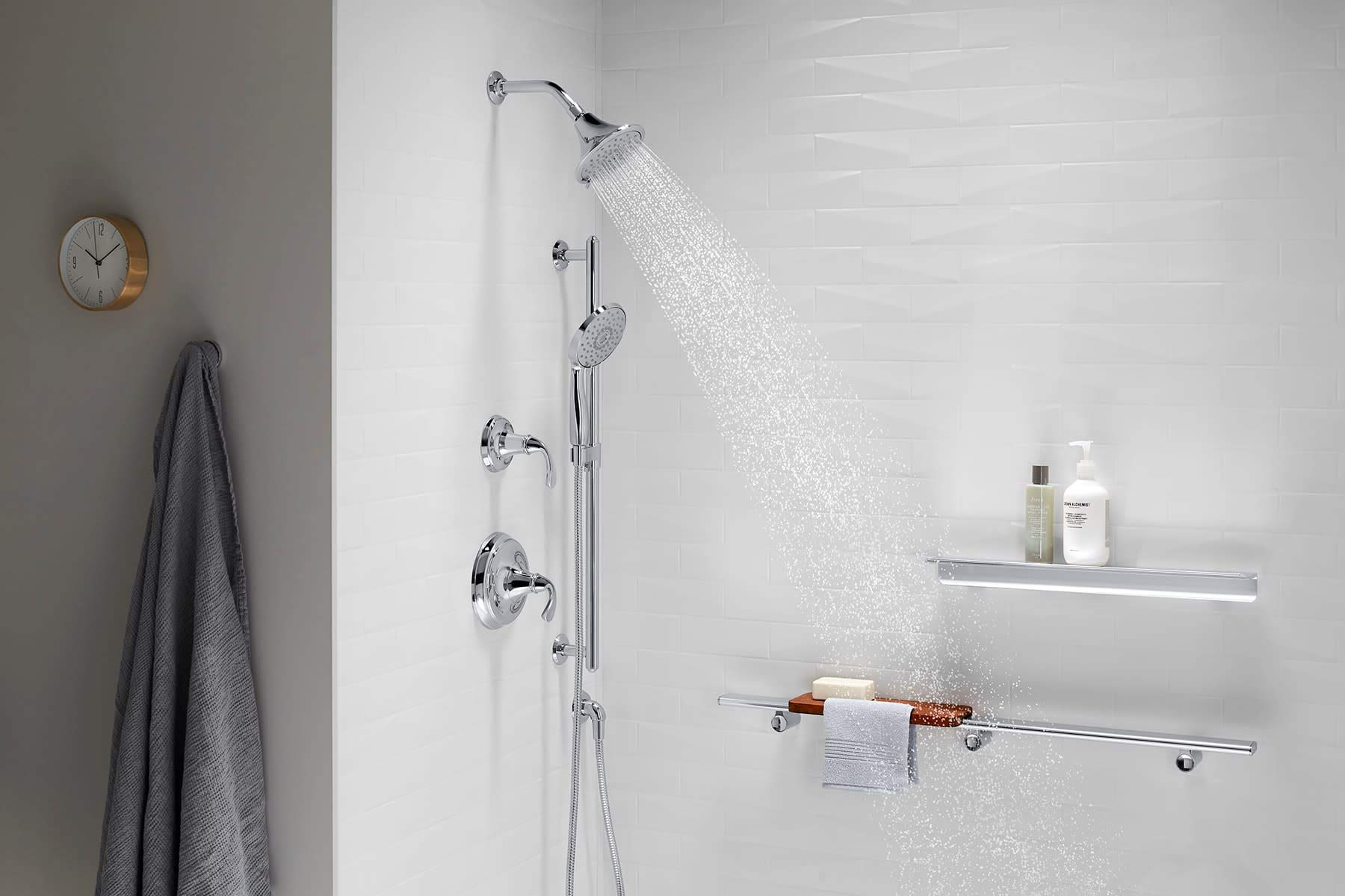 KOHLER 22165-G-BV Forte Multifunction Handshower, Handheld