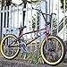 Salt Pro Sprocket 25T Oilslick