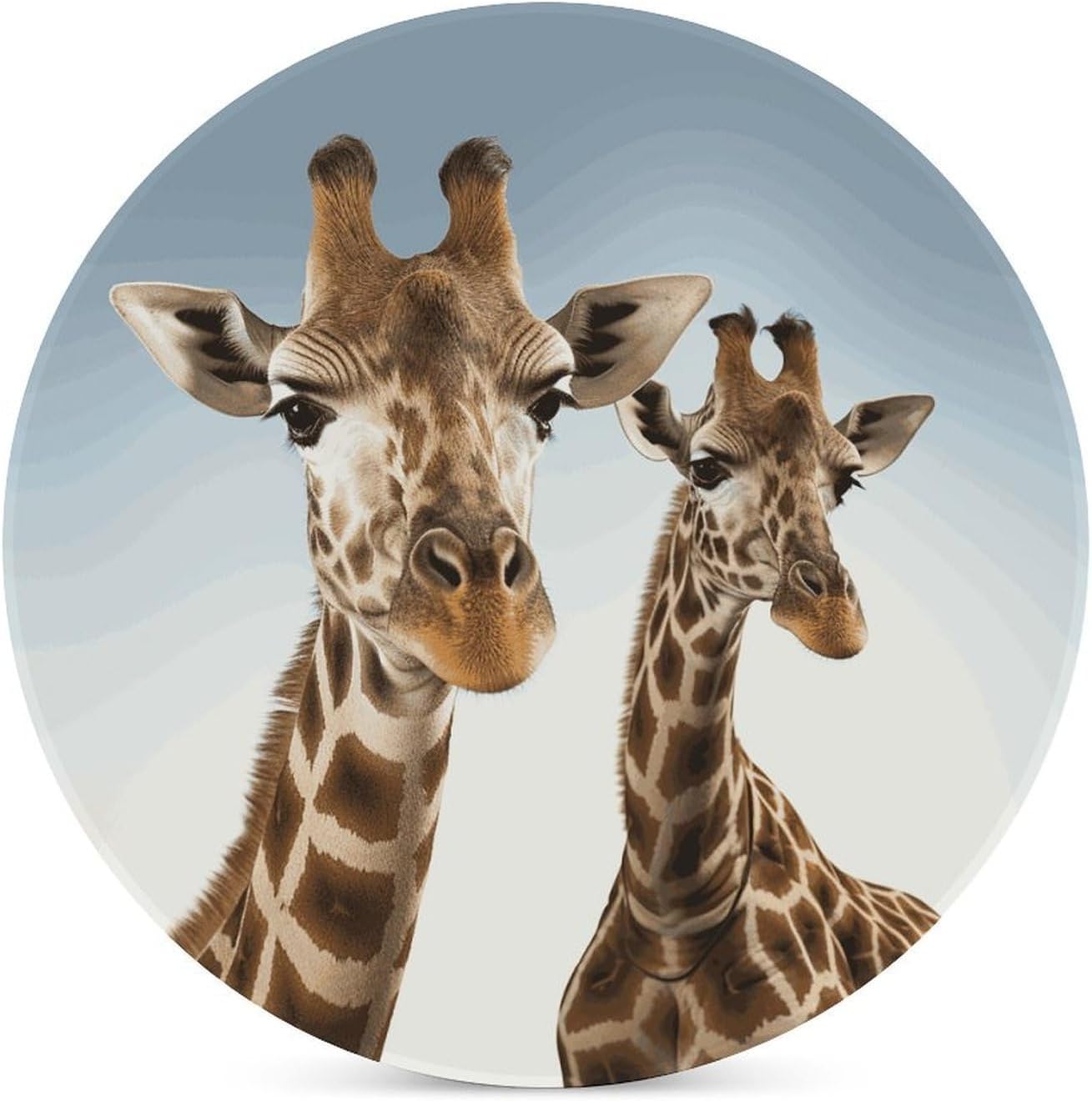 Necks of Giraffe Coasters Round Coasters Set Ceramic Stone Coaster with Cork Base Coffee Cup Beverage Cup Mat Cute Funny Table Drinks Coaster for Mugs and Cups Office Kitchen