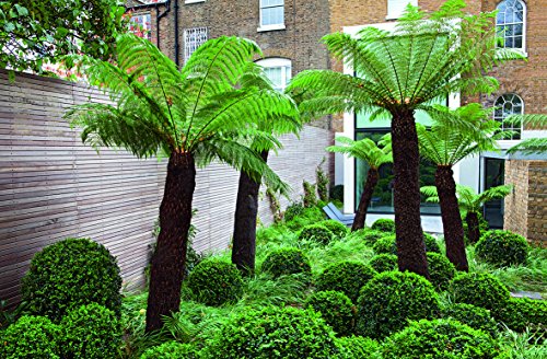 Grüne Inseln – Kleine Gärten in der City - 4