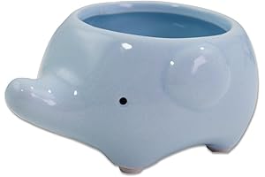 Adorable Elephant Succulent Pots