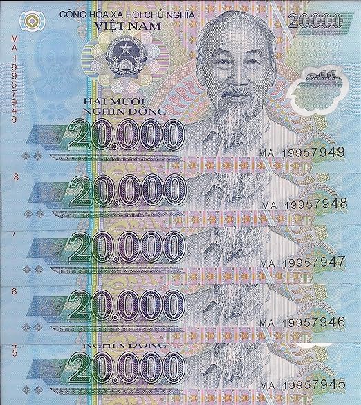Amazon.com: Spectrum Store Vietnam 5 x 20,000 Dong Note, VND, 2024