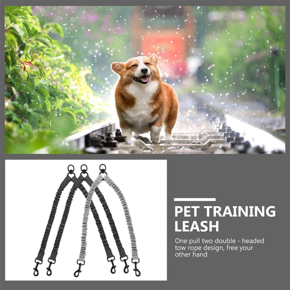 3piezas Correa Doble para Perros Reflectante Elástica Resistente para Caminar y Correr al Aire Incluye Gris Oscuro y Gris Uso Seguro y Duradero