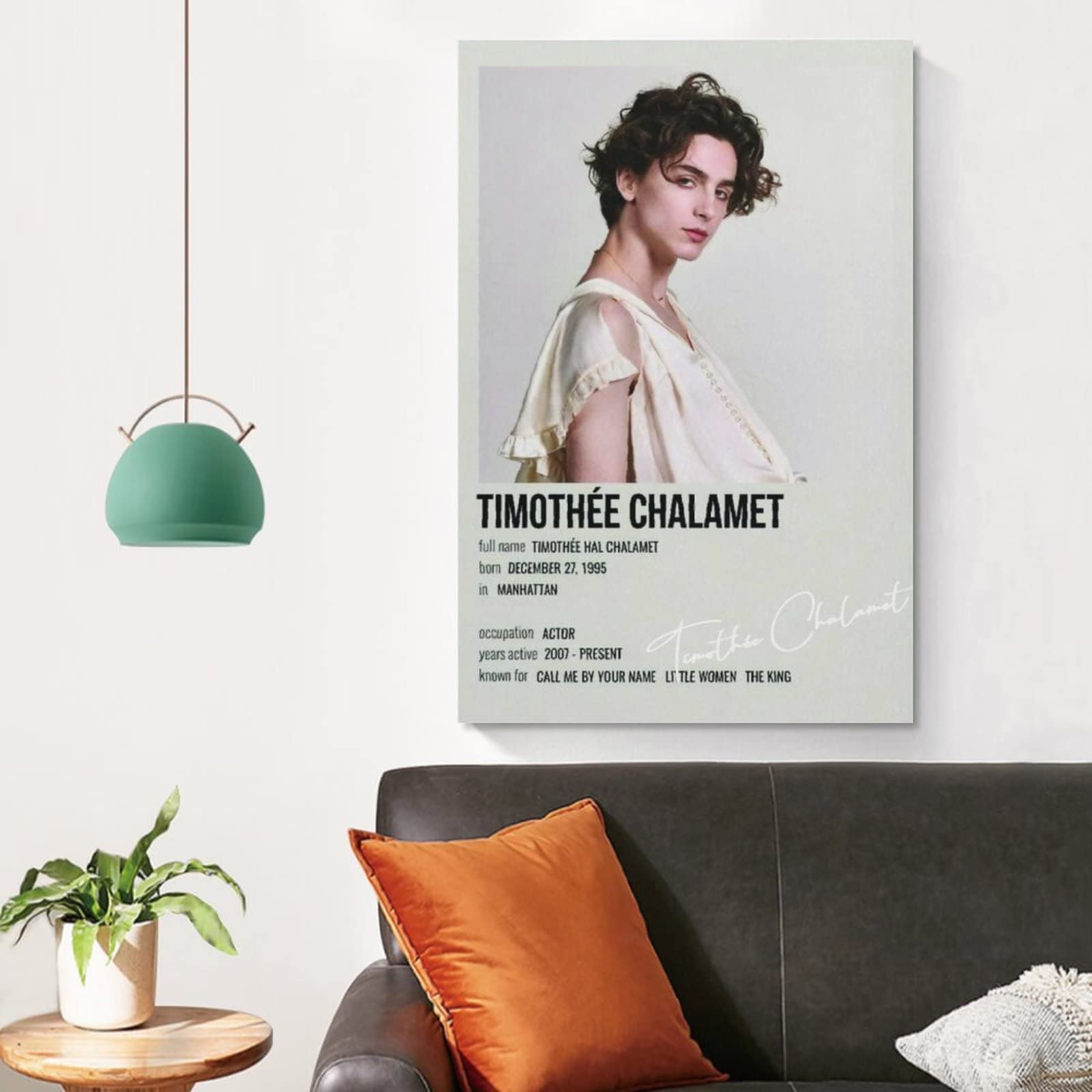 Wandbild Dune Movie 40x60cm - Timothée Chalamet Poster Ohne Rahmen
