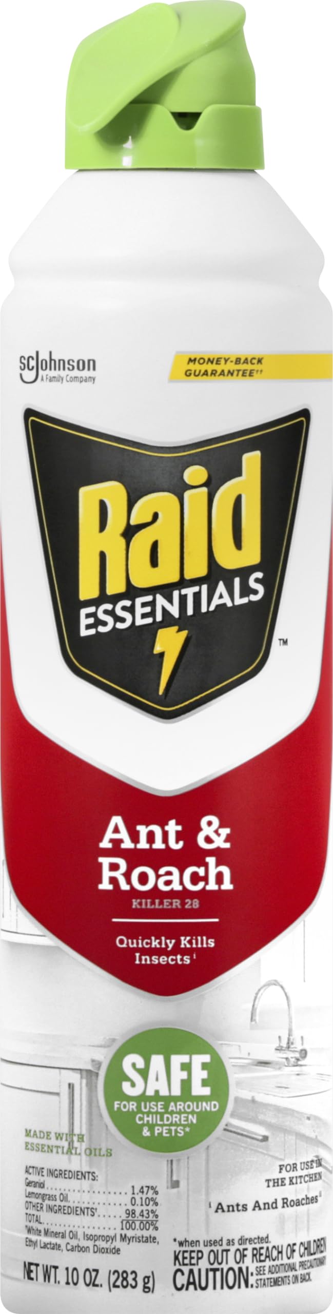 Raid Essentials Ant & Roach Killer Aerosol Spray, Child & Pet Safe, Kills Insects Quickly, for Indoor Use, 10 oz