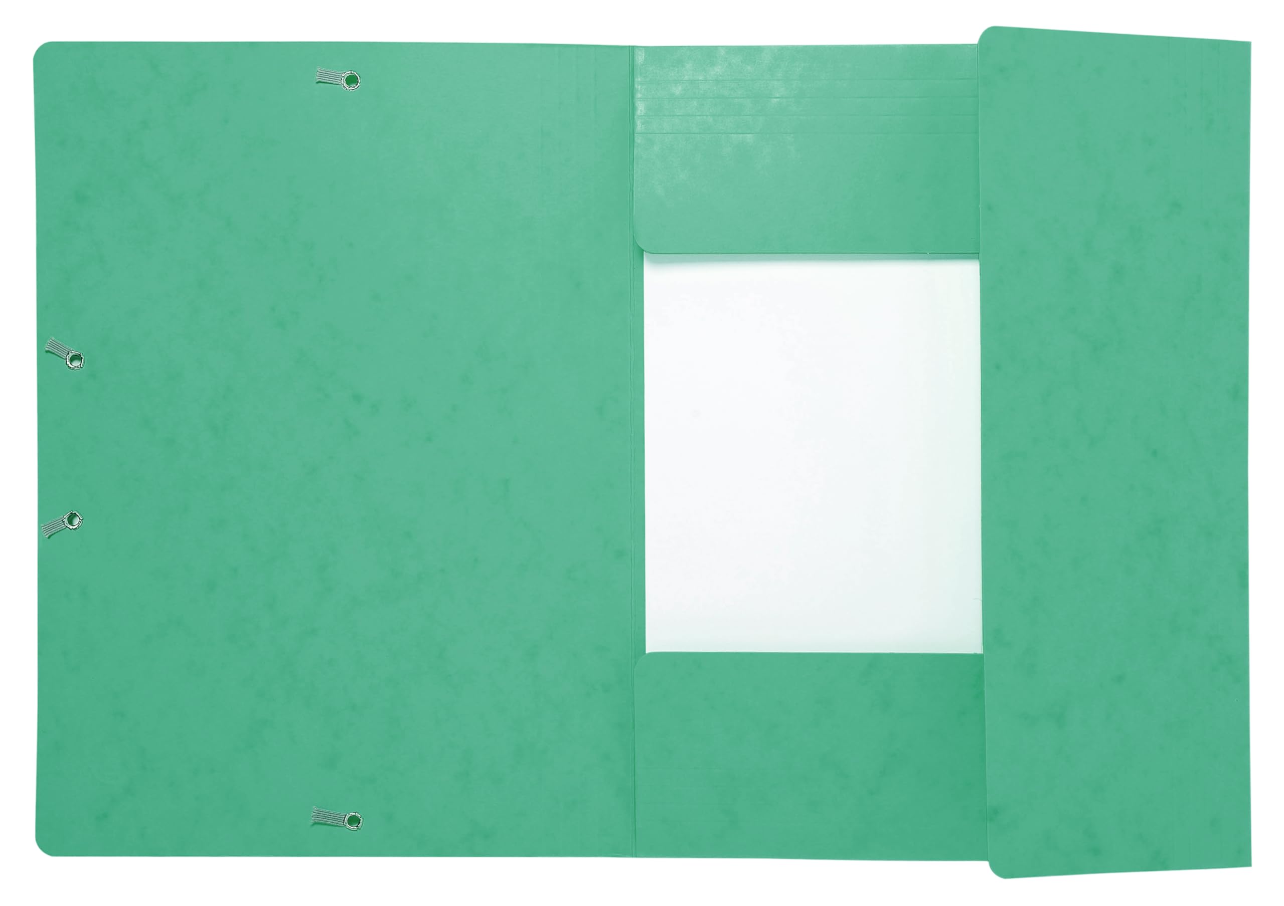 Exacompta 17103H 25er Pack Einschlagmappe aus extra starkem Colorspan-Karton für DIN A4 mit 3 Klappen und 2 Gummizügen grün