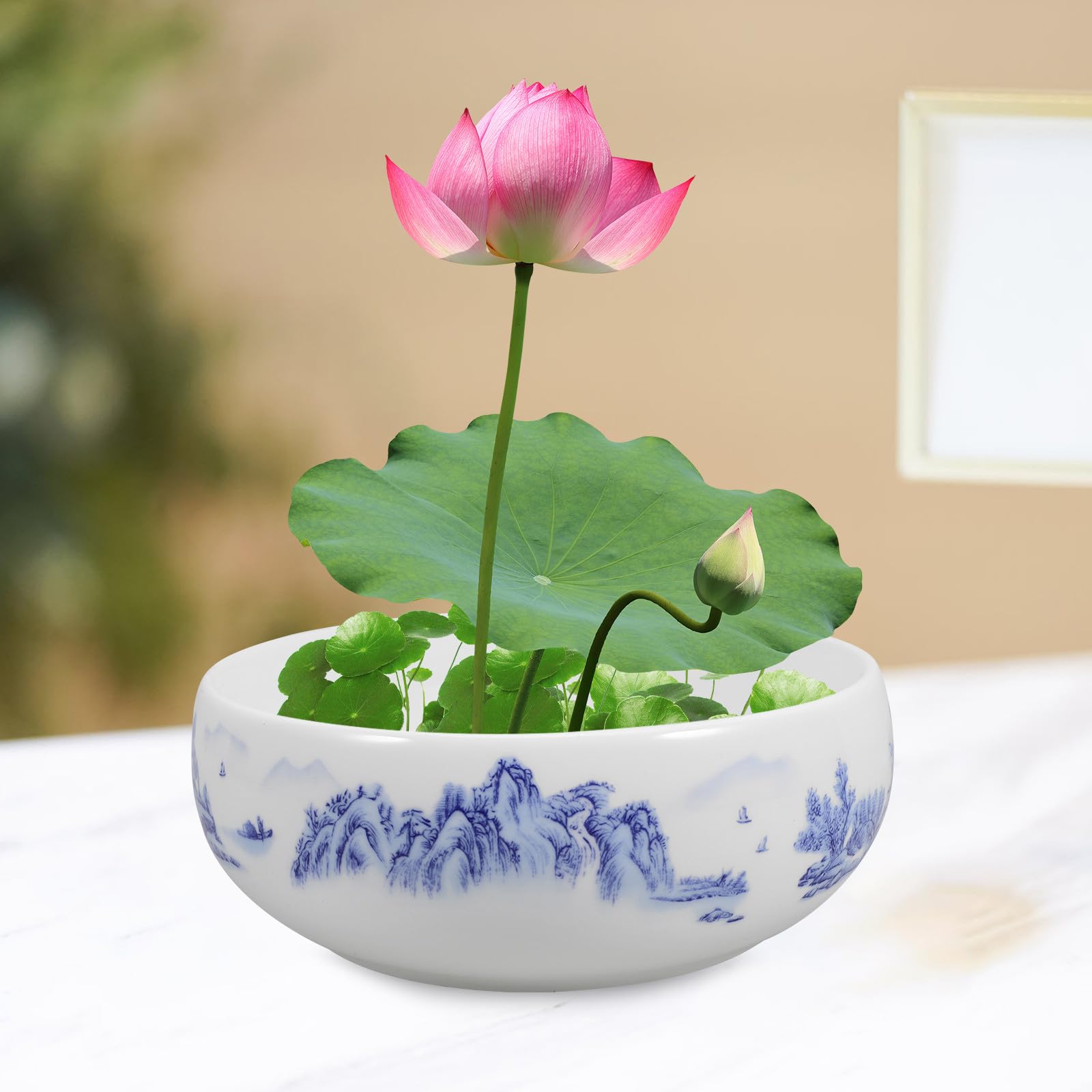 Luxshiny Pot de Fleurs Moderne en Céramique Décorative pour Plantes Succulentes et Fleurs, Design Artistique et Lumineux pour Salon Cuisine Plusieurs Styles