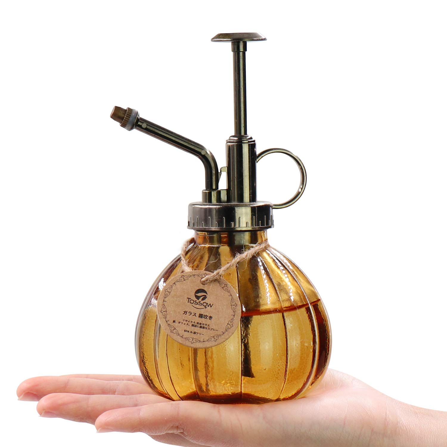 Amazon.co.jp: TOSSOW ガラス 植物 園芸 アンティーク調 インテリア