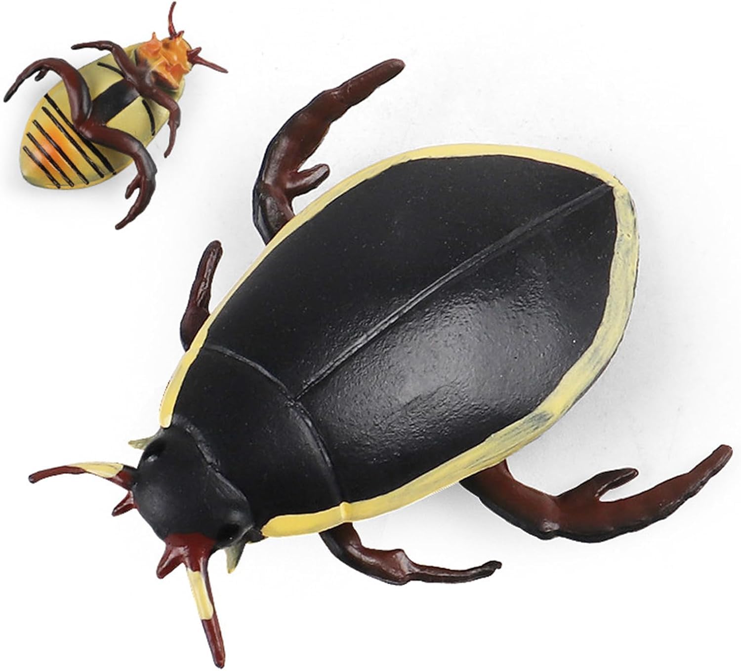 Amazon.co.jp: MAIBED ゲンゴロウ フィギュア 竜蝨 節足動物