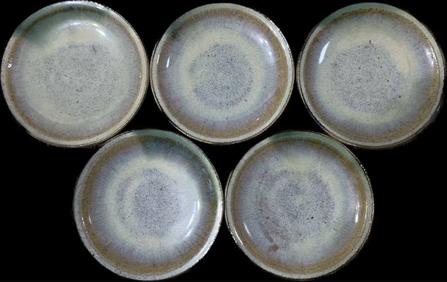 七代目　宗像亮一　作　会津本郷焼　宗像窯　灰釉皿　5寸皿　5枚 Amazon.co.jp: 七代目 宗像亮一作 会津本郷焼 宗像窯 灰釉皿 5寸