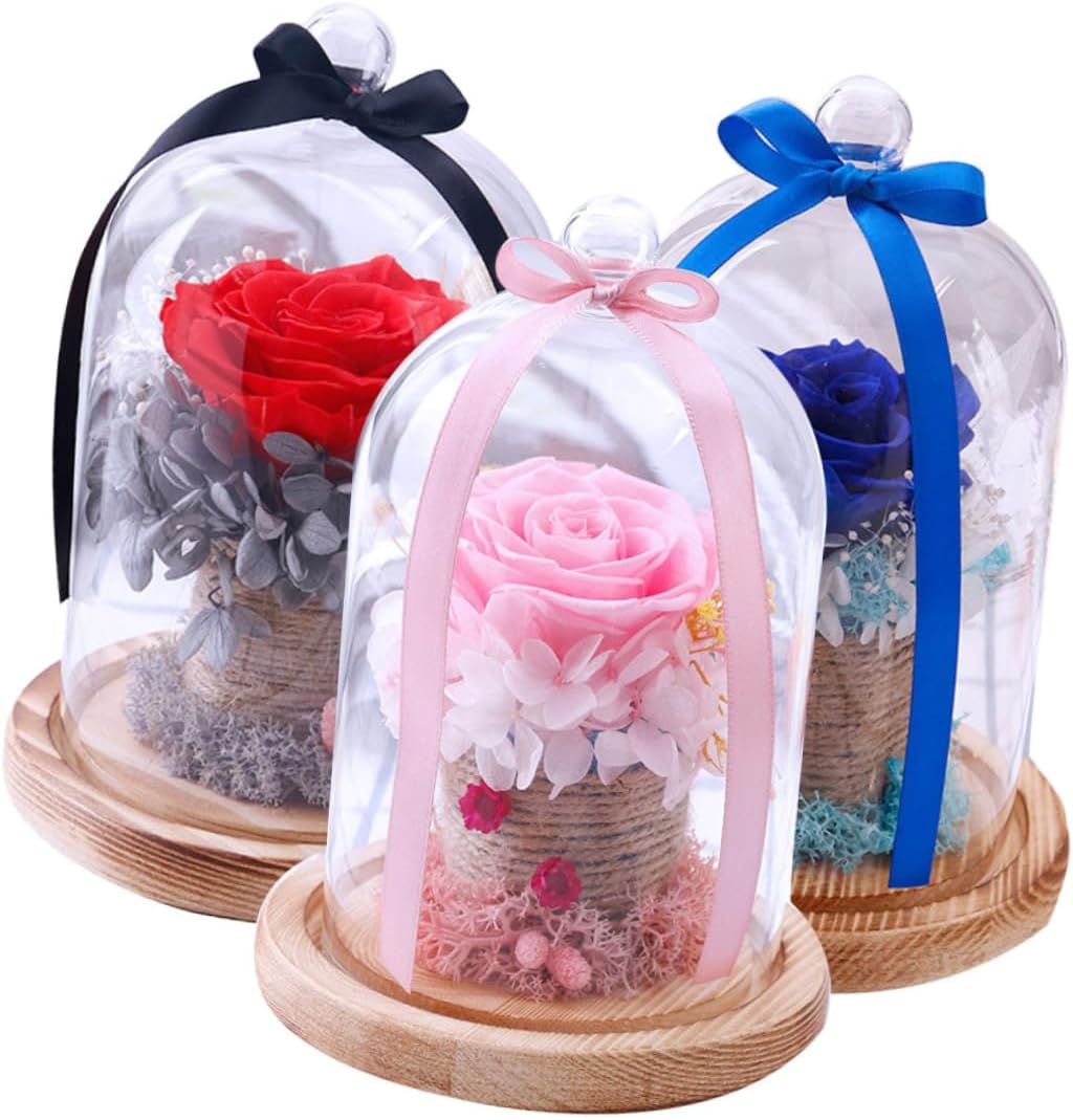 Preserved Rose Glass Cover Dome Flower Box Mother's Day Present Rose Decor Valentine's Day Present