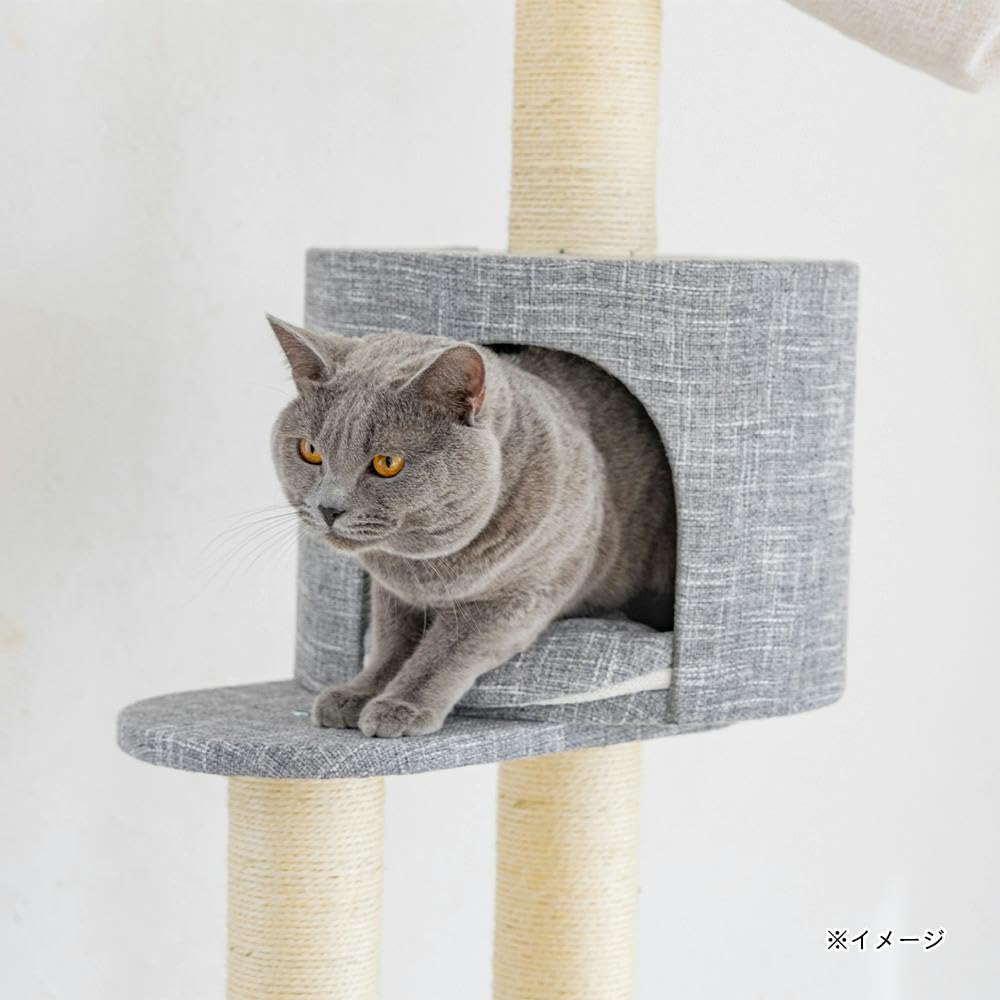 Amazon | カインズ(CAINZ) 連結できるキャットインテリアタワー