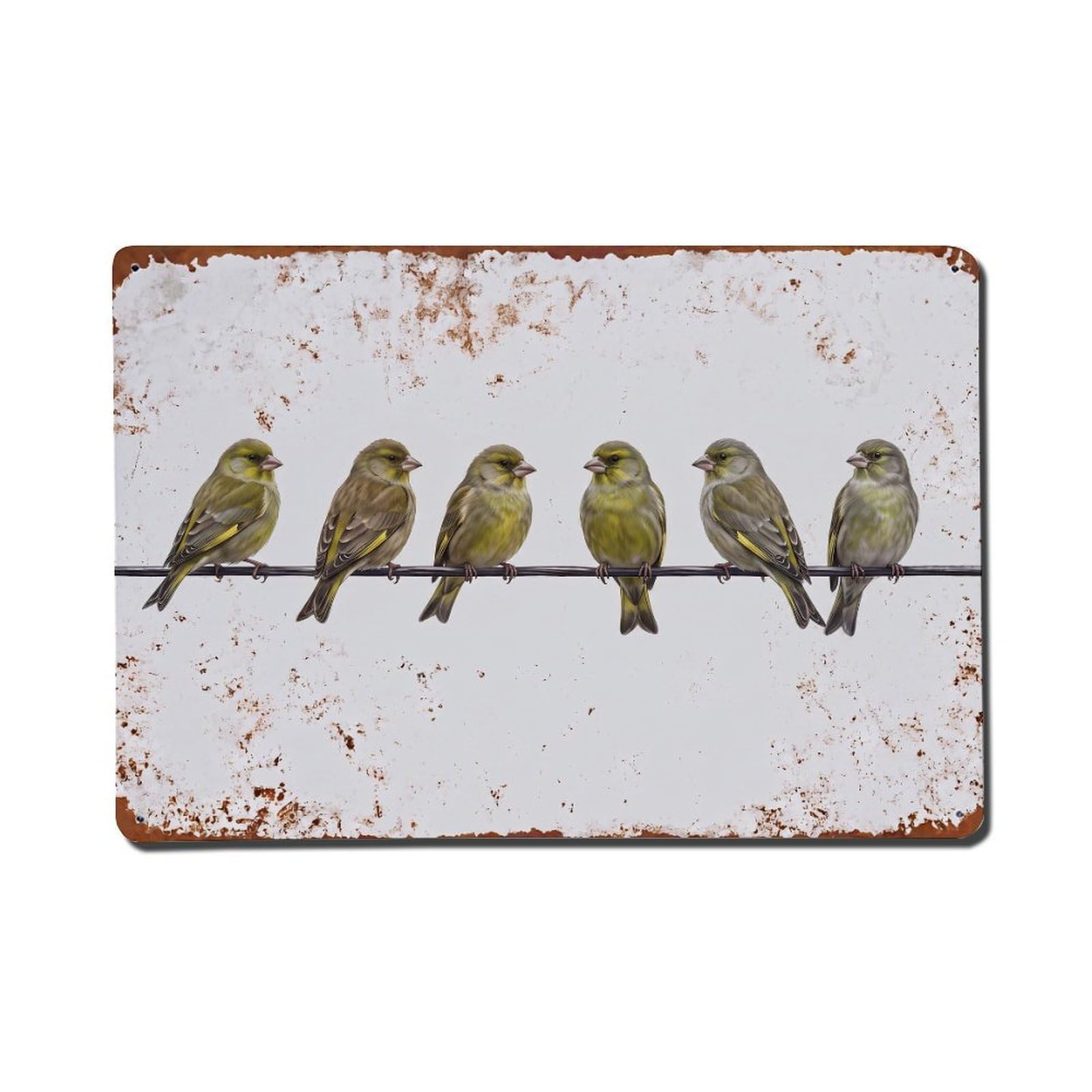 Vintage Retro Birds Greenfinch Metal Tin Sign