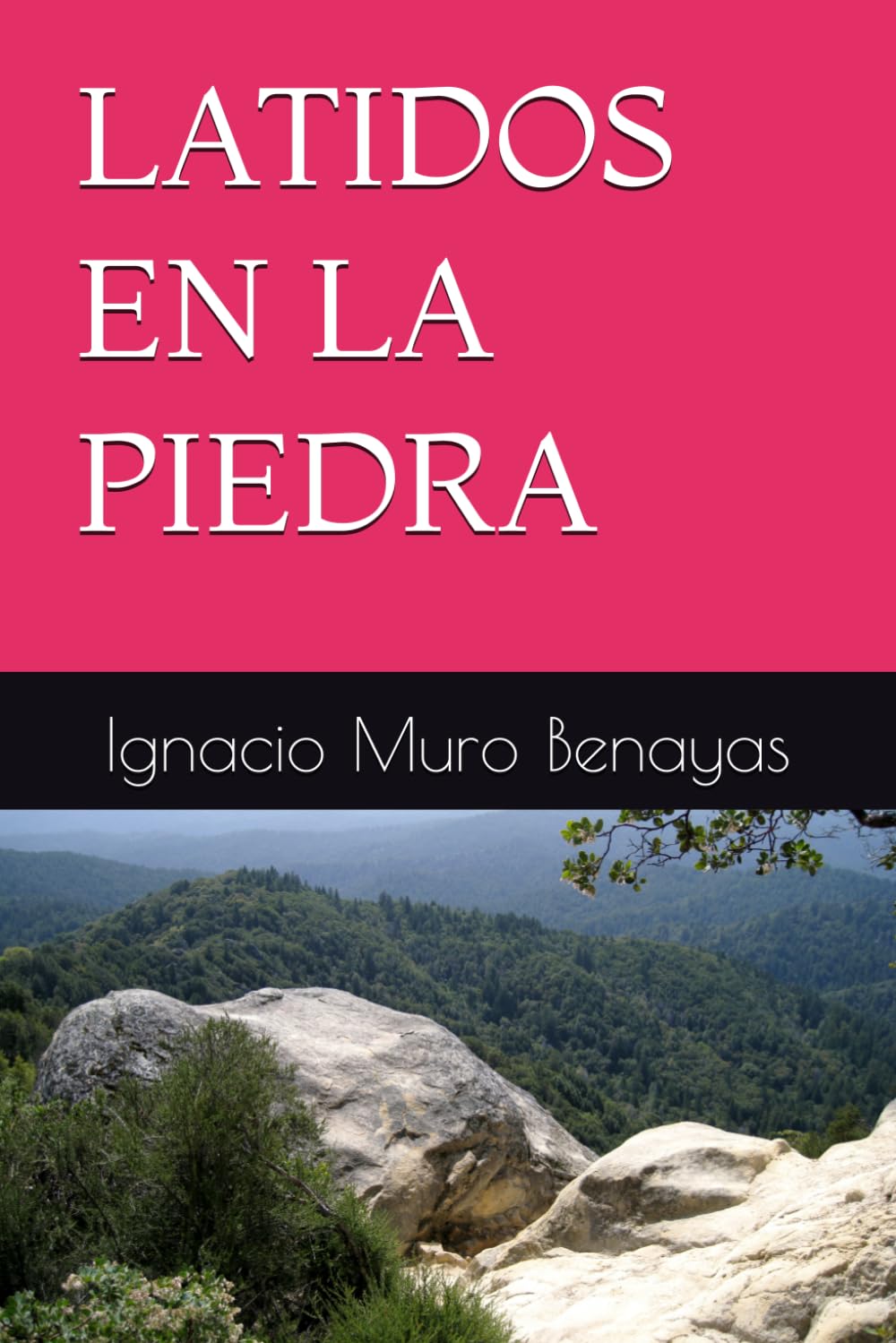 LATIDOS EN LA PIEDRA