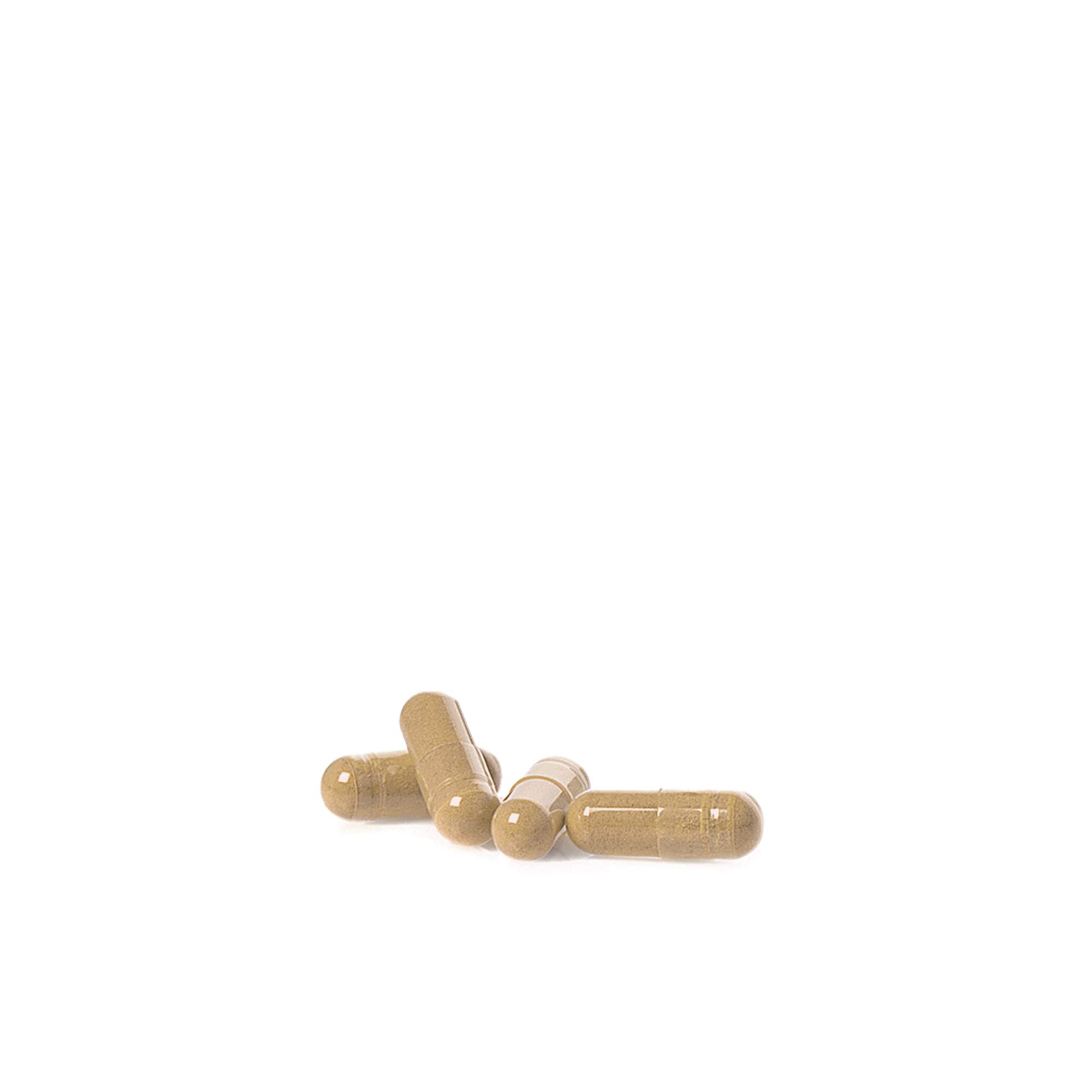 COLON-D ◉ 450 mg / 120 gélules ◉ Bactéries Lactiques, Psyllium, Raisin et Acérola ◉ Digestion