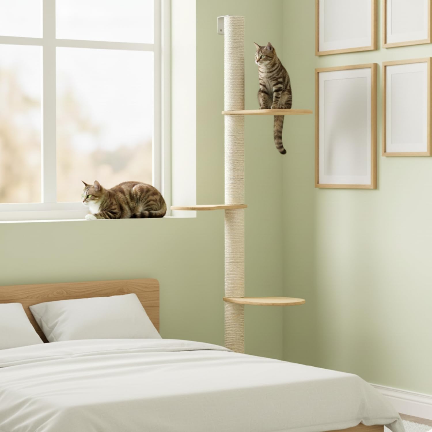 eyepower 170 cm Wandkratzbaum Luna mit 3 Plateaus zum Klettern - Kratzbaum Groß für Katzen - Kletterbaum mit Wandhalterung - Katzenbaum zur Wandmontage - Kletterwand Katze Kratzstamm Kratzsäule Wand
