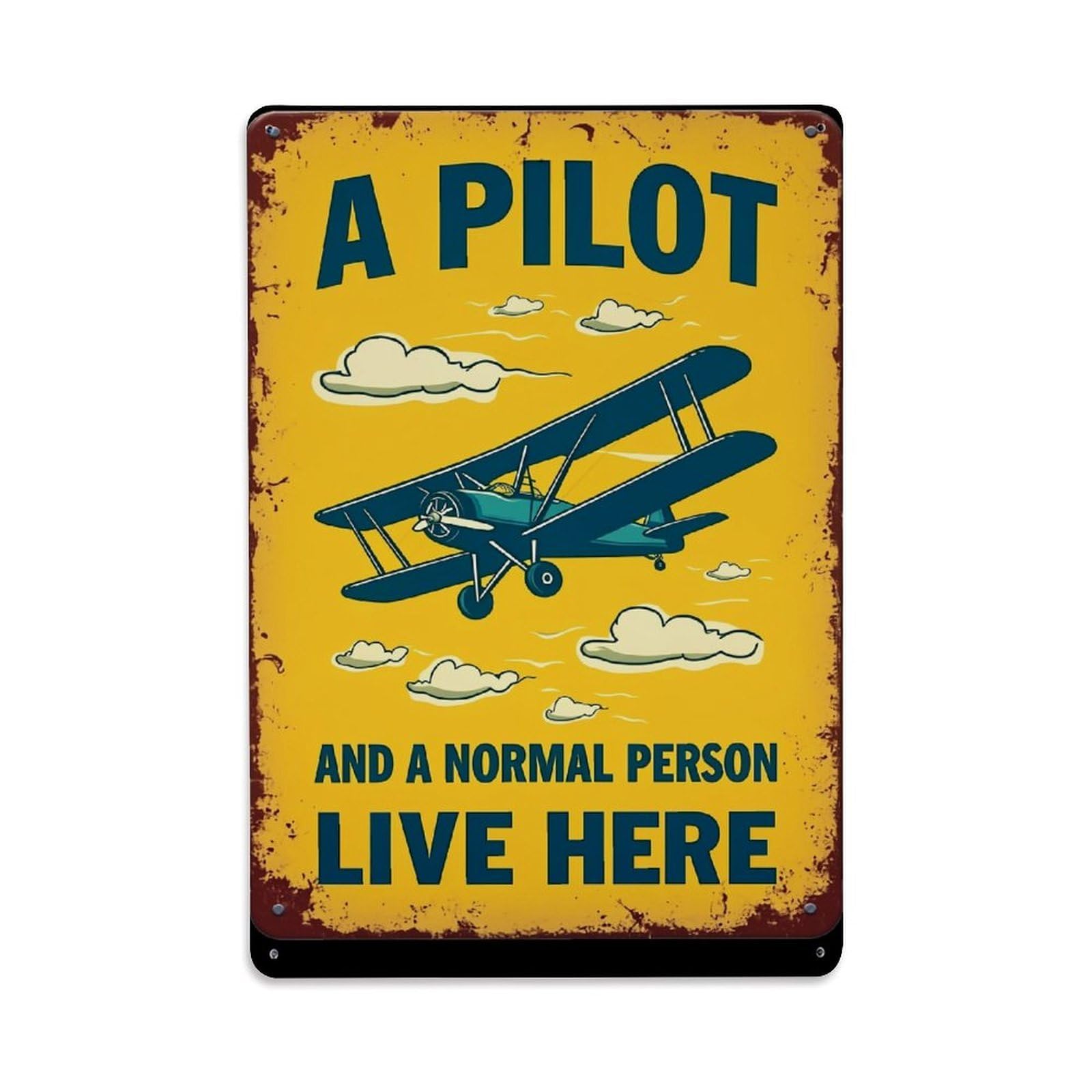 Jdfenggu Vintage Airplane Sky Clouds Pilot Retro Metal Tin Sign, Decor Art Poster For Bar, Home, Man Cave, Kitchen, Laundry Room Gift 8X12inch