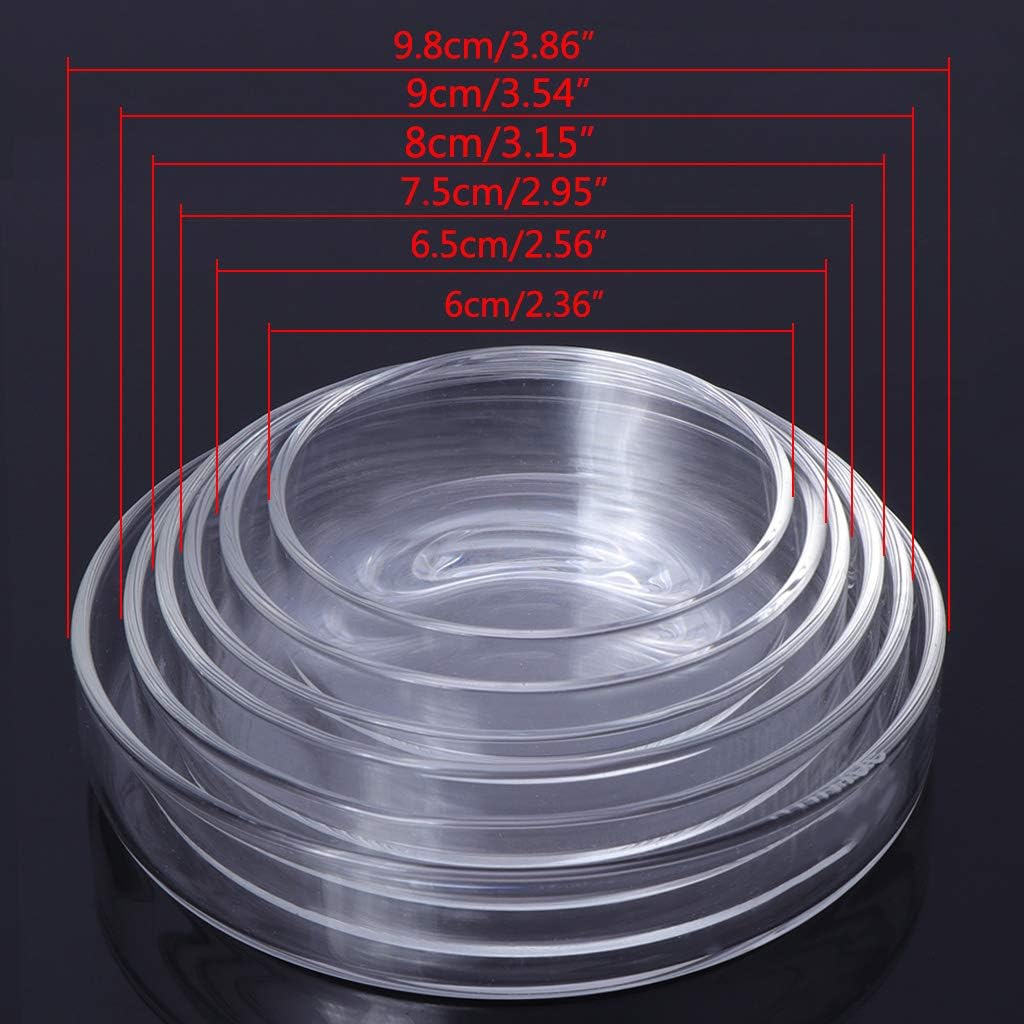 Aquarium Fish Tank Shrimp Feeding Food Dish Bowl Feeder Tray Container Glass Shrimp Feeding Dish for Shrimp Food (6.5cm/2.56in)