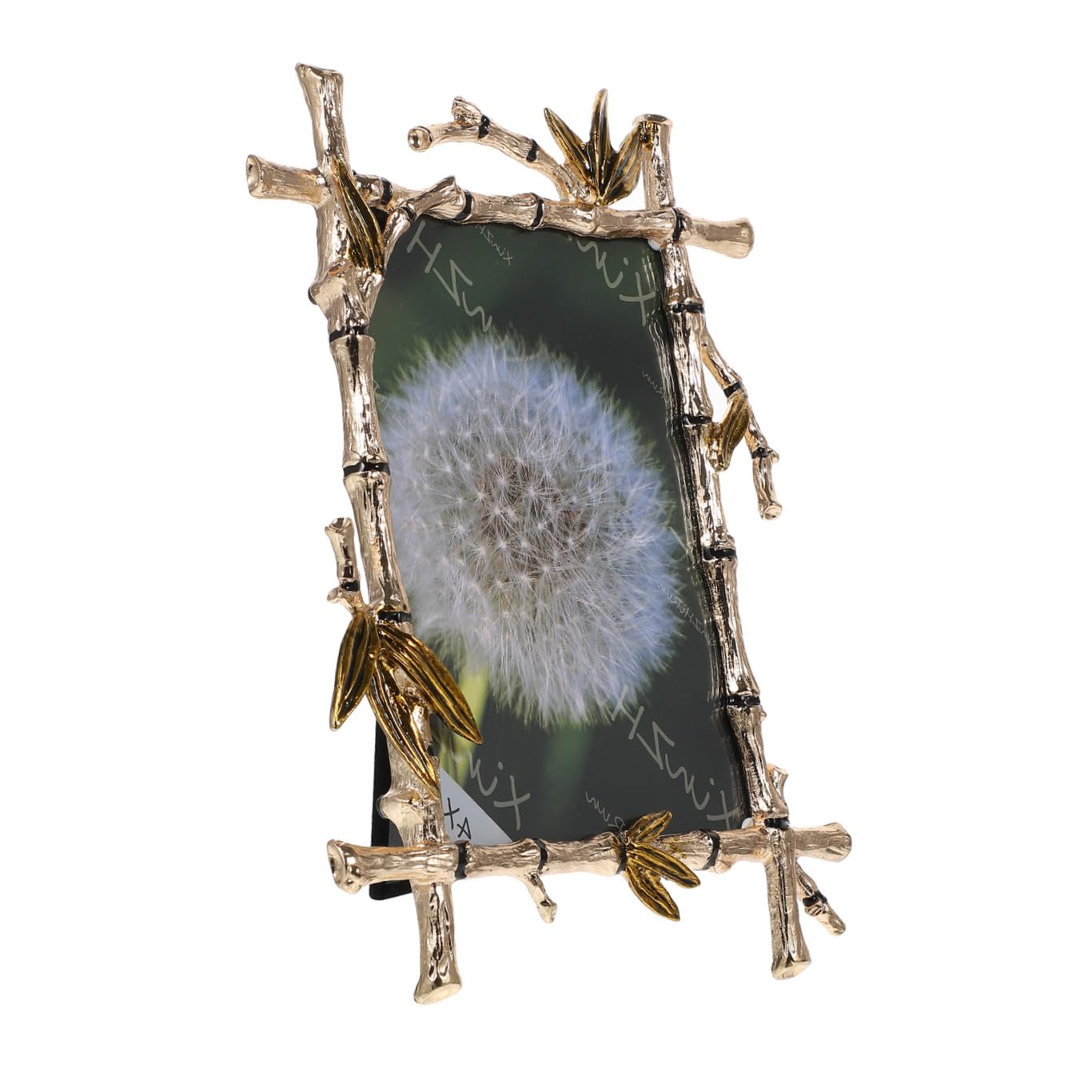 Cadre photo décoratif métal vintage un cadeau mémorable avec bordure dorée