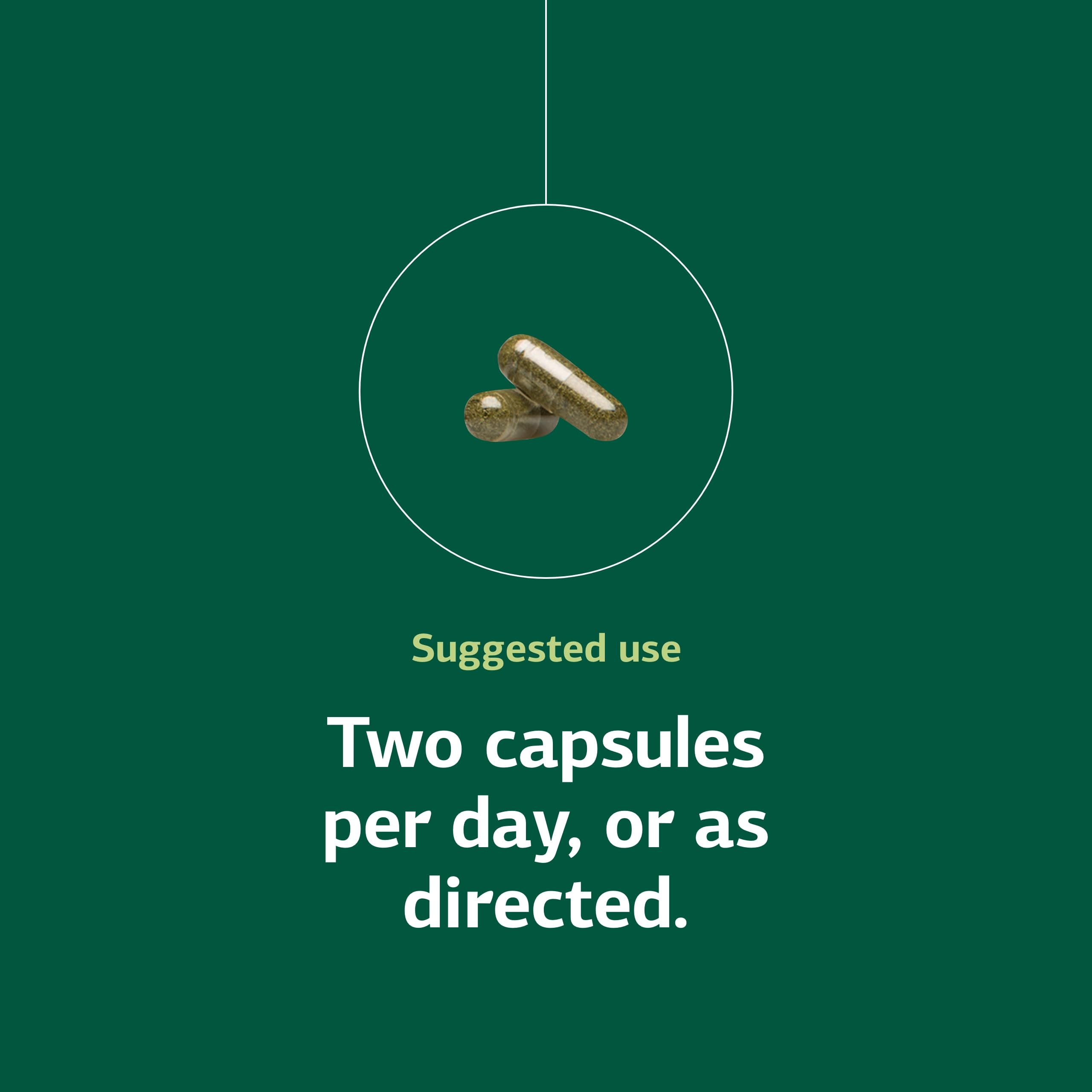 Standard Process Inc. e-Poise - Whole Food Energy, Vitality, and Antioxidant Support with Riboflavin, Vitamin B6, Thiamine, Wheat Germ, Vitamin A, Flaxseed Oil, Calcium, Vitamin B12-150 Capsules