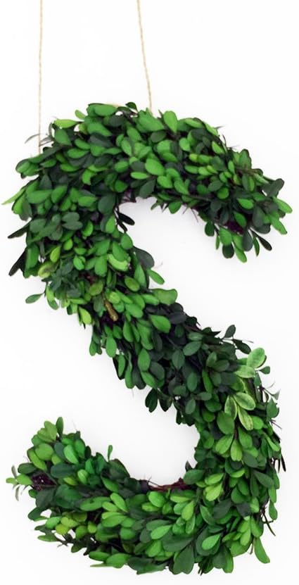 Modern Home 12 Real Preserved Boxwood Monogram Wreath Letters - I