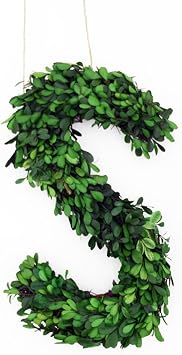 Modern Home 12 Real Preserved Boxwood Monogram Wreath Letters - I