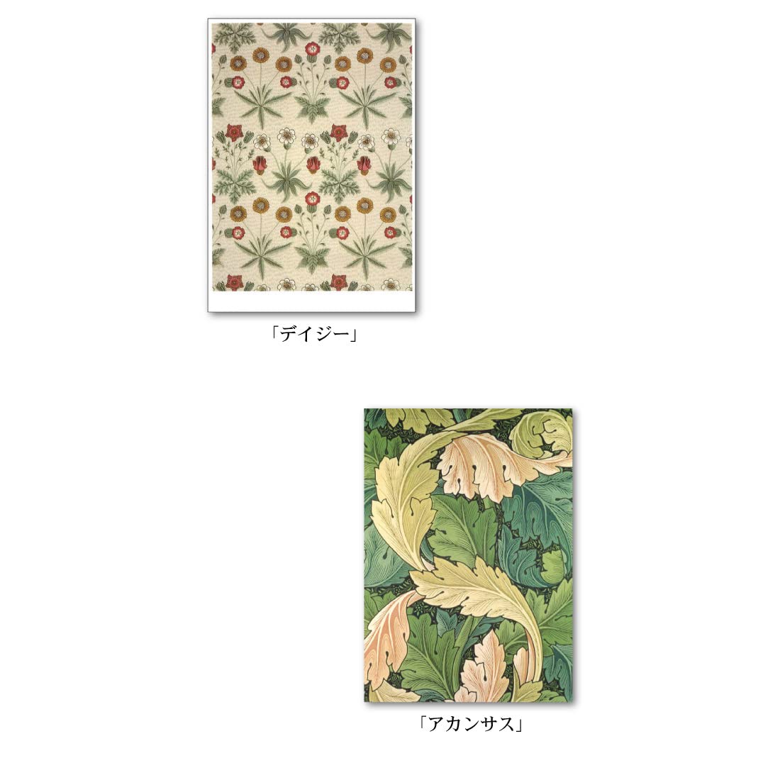 Amazon | 【正規輸入品】ポストカード アート10柄セット「ウィリアム