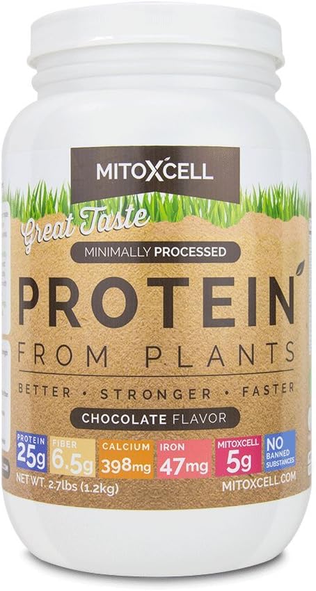 Plant Based Protein Powder: Raw Cacao, Echinacea, L Carnitine, Alpha Lipoic Acid and 25 Grams of Protein Per Serving to Support Mitochondria - Chocolate, 2.7 pounds