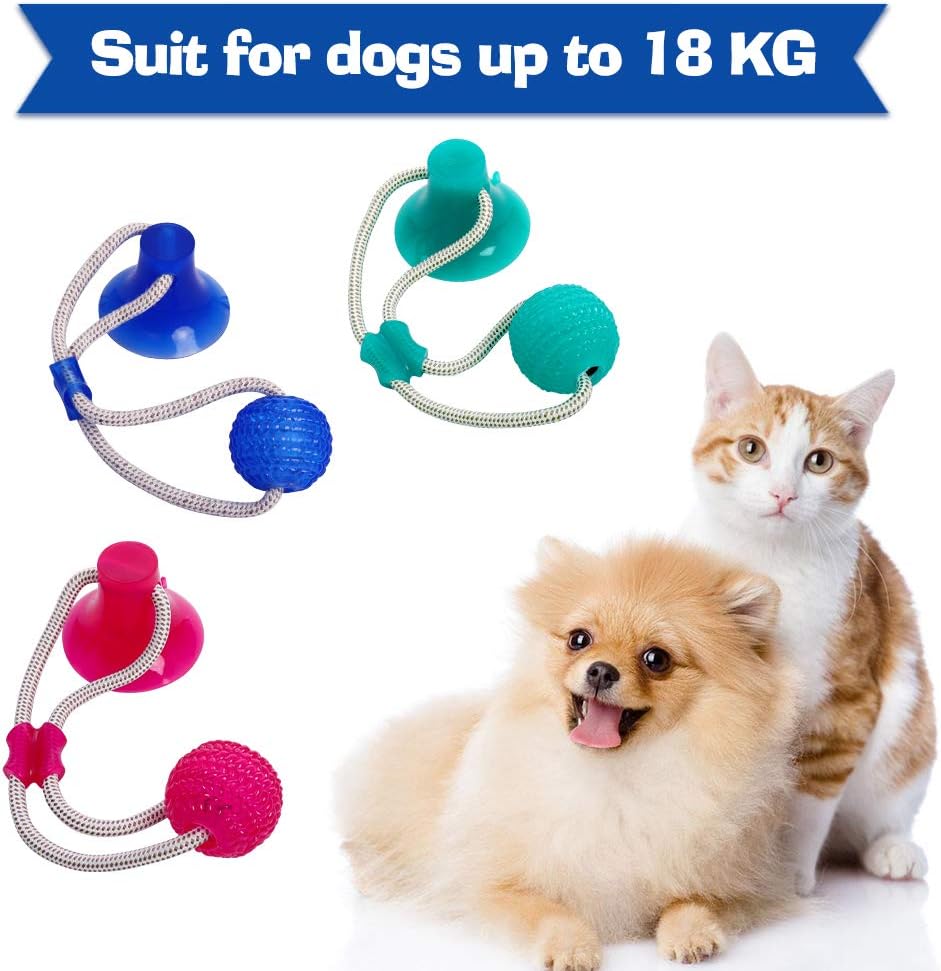 ODOLDI Pet Molar Bite Toy, Multifunction Interactive Ropes Toys, Self-Playing Rubber Chew Ball Toy with Suction Cup, Teeth Cleaning Tool for Dogs Cats (Light Blue)