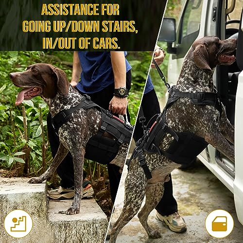 Dog Lift Harness For Large Dogs, Dog Sling For Large Dogs Hind Legs