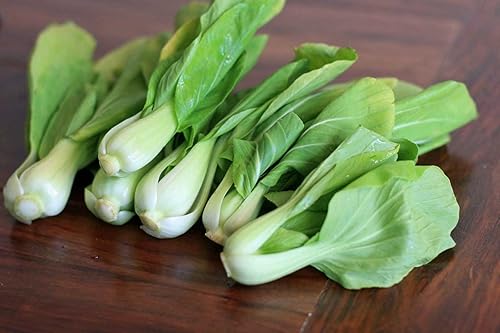 Miniatura 7 de Más de 300 Bok Choy de col china - Verde vegetal