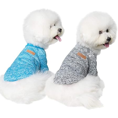 medium dog outfits