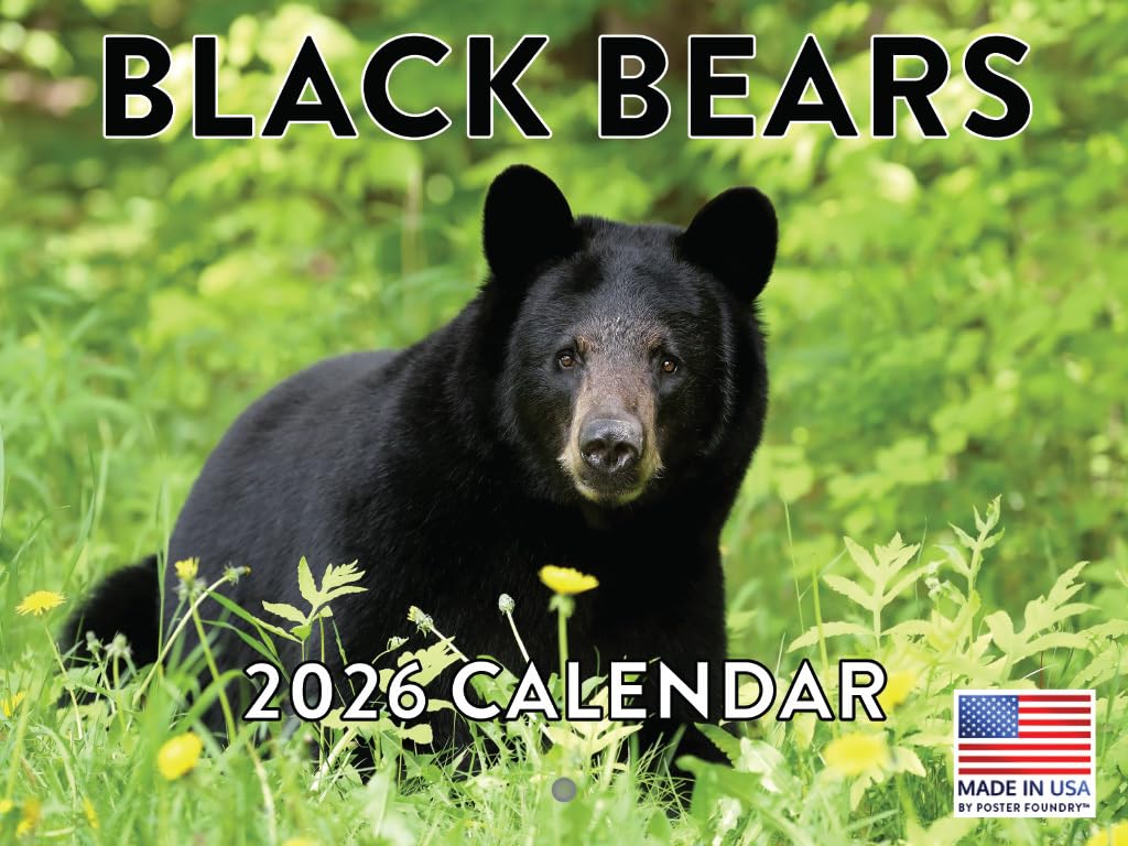 Black Bear Calendar 2026 Monthly Wall Calender 12 Month | American Made In The USA