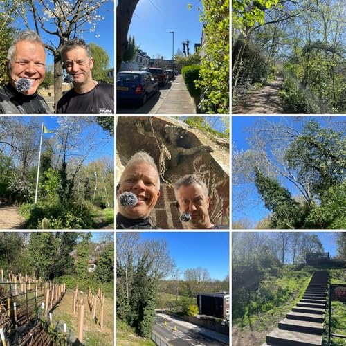 Walking The Walk, Talking The Talk