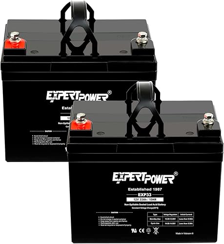Pilas Expertpower 12 V