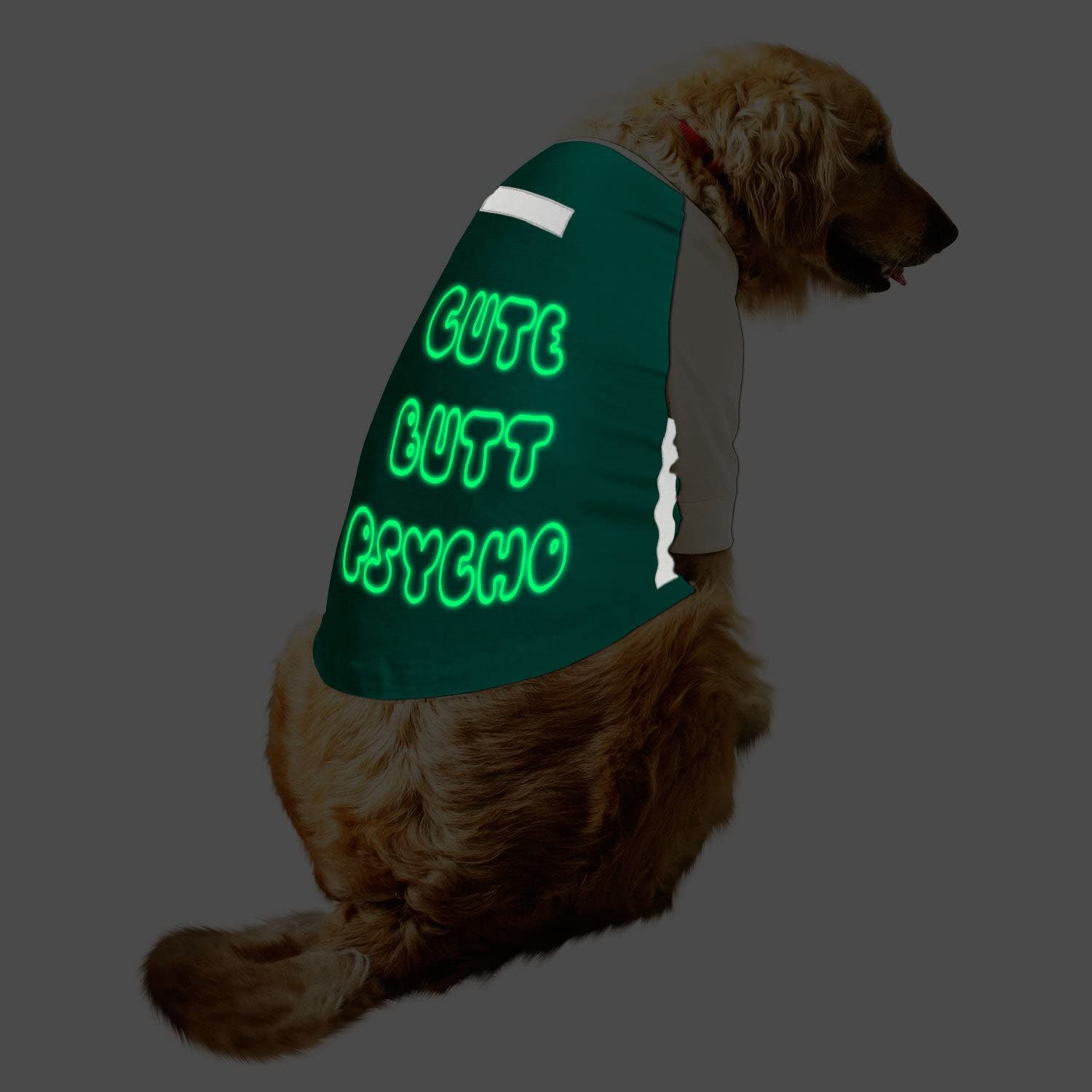 Ruse Raglan Dog Tee Cute Butt Psycho Printed Night Glow & Reflective Full Sleeves Dog T-Shirt/Apparel/Clothes/Tees Gift for Small Dogs.Aqua Green/White/XXS (Chihuahuas, Papillons) (B0BLN1TLYM) Amazon Price History, Amazon Price Tracker