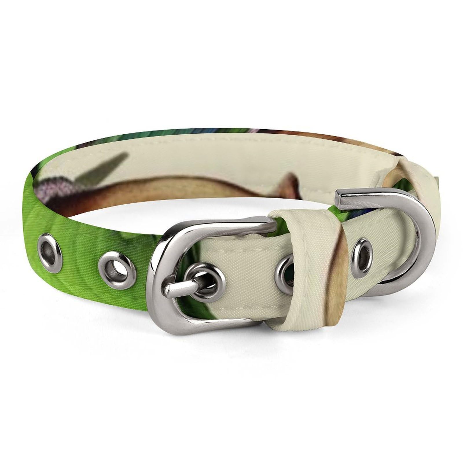 Colliers pour chiens et chats olive parfaits pour la promenade